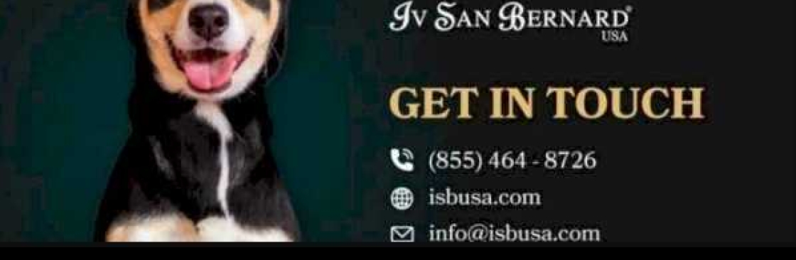 Iv San Bernard USA Cover Image