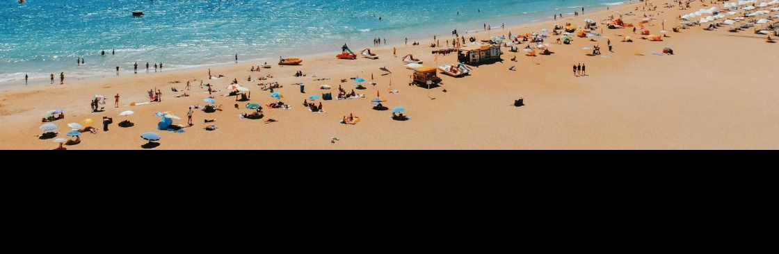 Perfect Holidays Cover Image