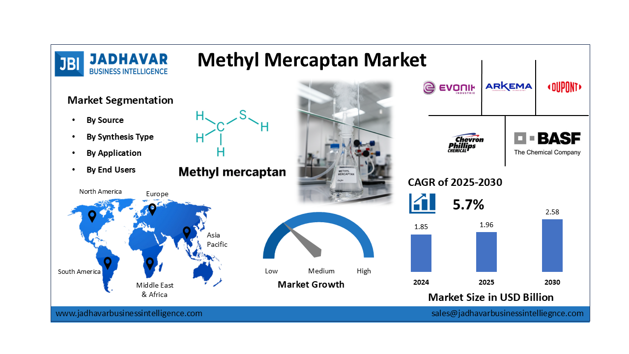 Methyl Mercaptan Market Size, Trends, Growth Report (2030) | Jadhavar Business Intelligence