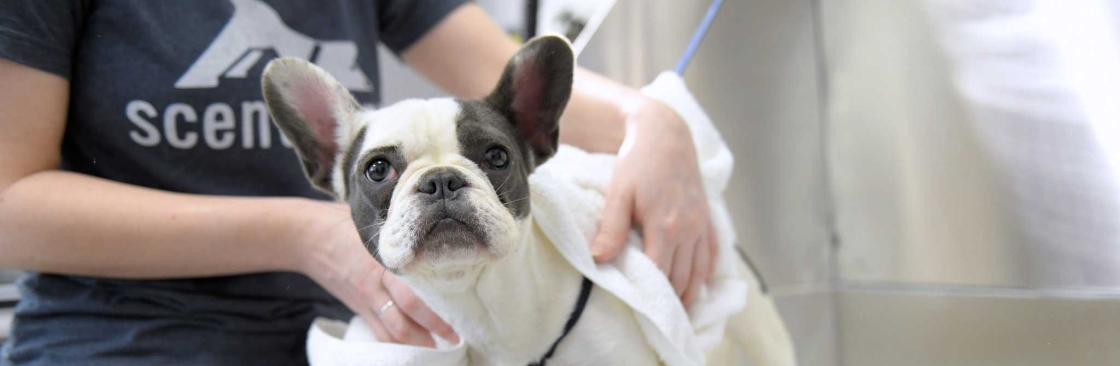 Scent Hound Apex Cover Image