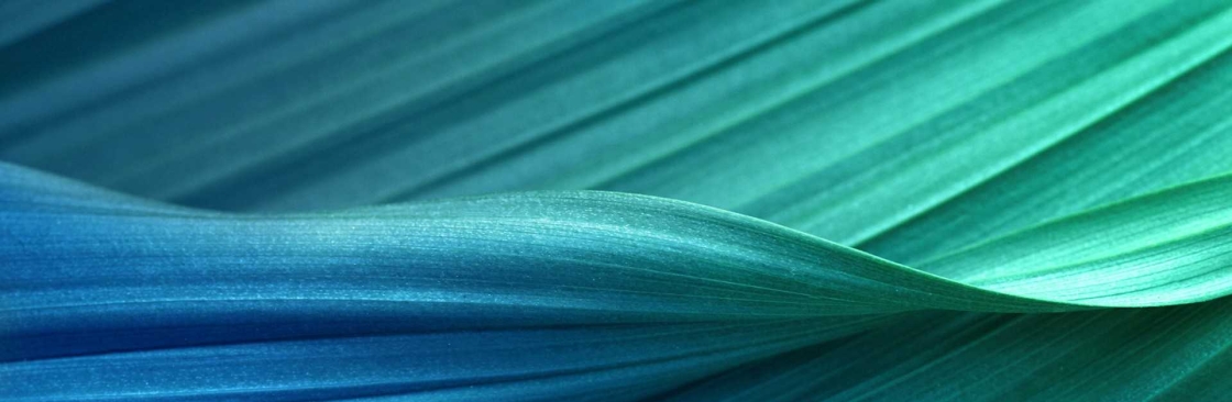 Cardinal Insurance Management Systems Cover Image