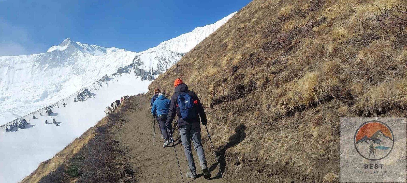 Annapurna Circuit Trek 14 Days - Best Treks and Adventure Pvt. Ltd. / Nepal Tour / Nepal Trek / Everest Base Camp Trek