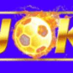 mustafaportfolio profile picture