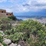 GreeceInvests profile picture