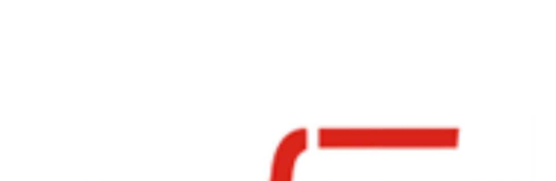 sfs india Cover Image